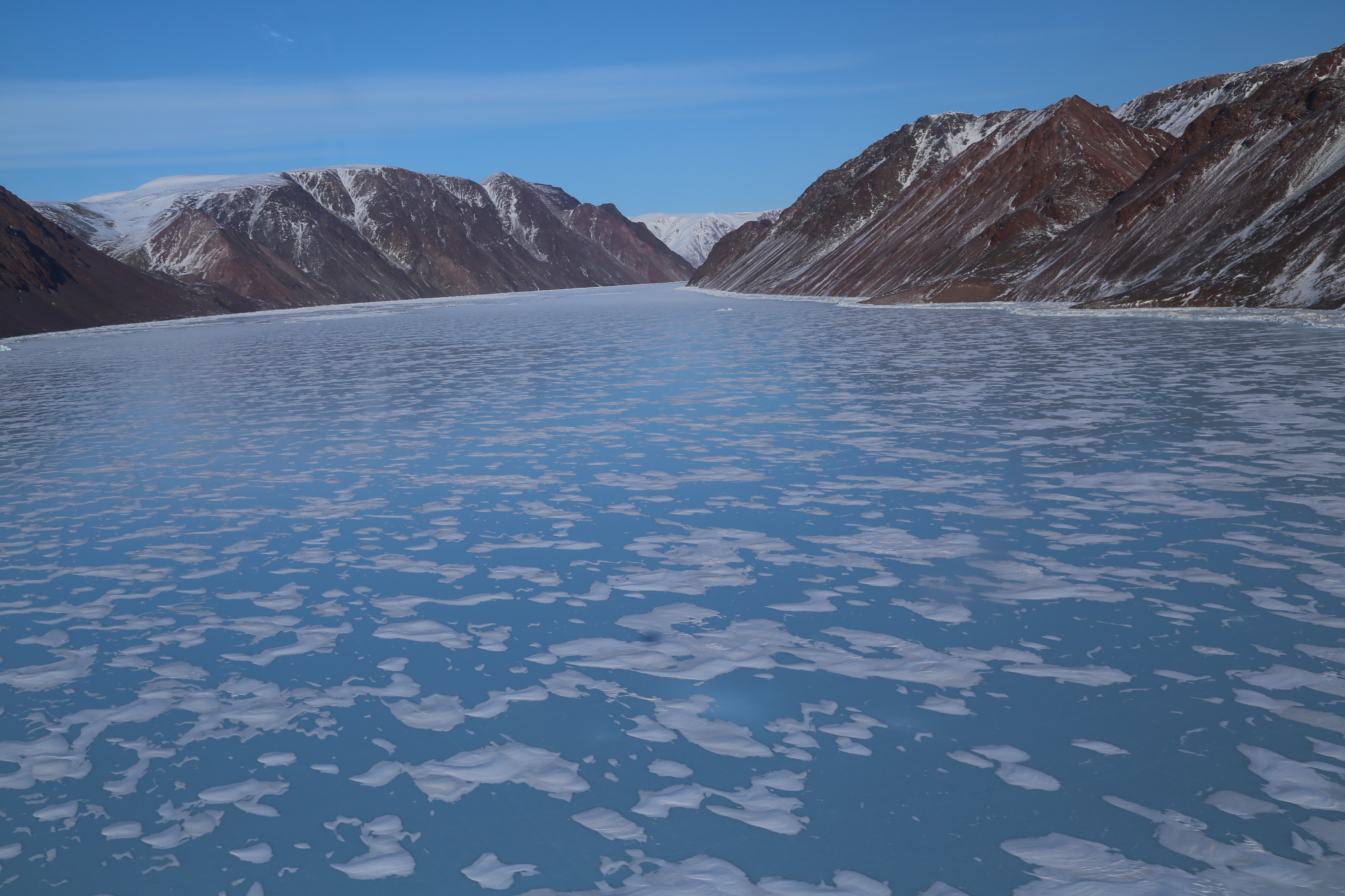 sea ice and mountains